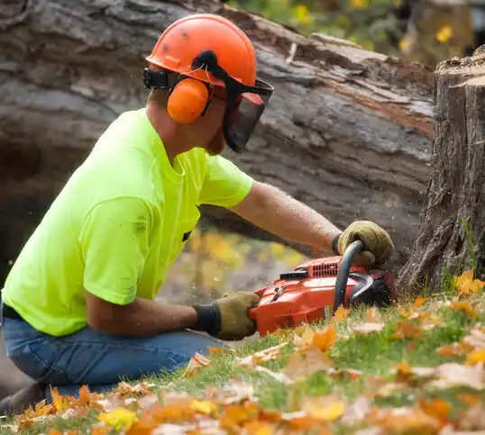 tree services Valley Hill